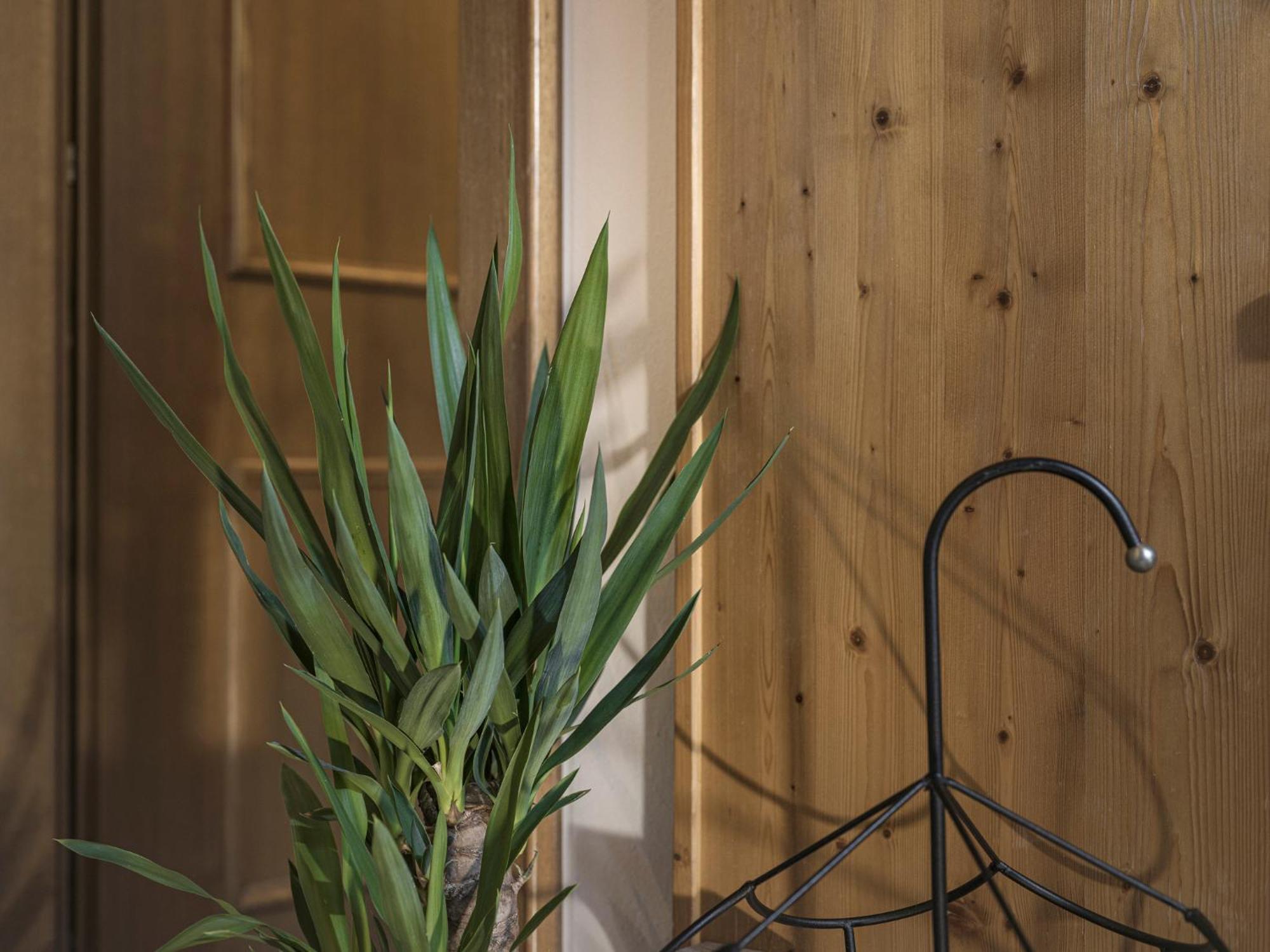 Appartement Geisler 핑켄베르그 외부 사진